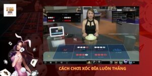 Cách chơi xóc đĩa luôn thắng