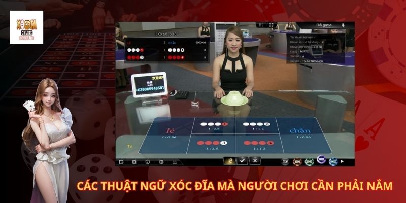 Các thuật ngữ xóc đĩa mà người chơi cần phải nắm 