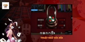 Thuật ngữ xóc đĩa