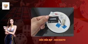 Xóc Đĩa Bịp